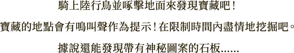 騎上陸行鳥並啄擊地面來發現寶藏吧！
寶藏的地點會有鳴叫聲作為提示！在限制時間內盡情地挖掘吧。
據說還能發現帶有神秘圖案的石板……