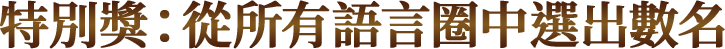 特別獎：從所有語言圈中選出數名