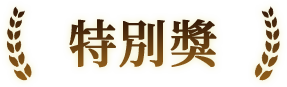 特別獎