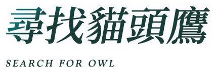 尋找貓頭鷹 Owl Find You